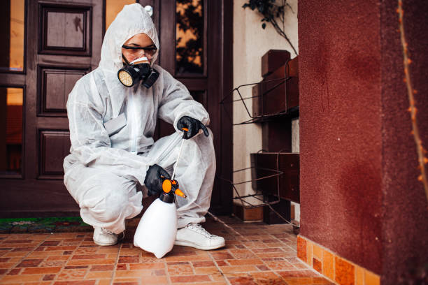 Reliable Termite Control contractor in Greencastle, PA by Nex Pest Control