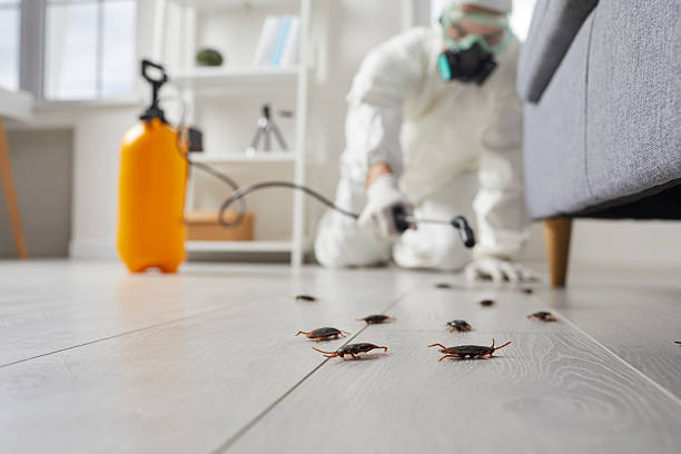 Trusted Fumigation Services service in Greencastle, PA - Nex Pest Control