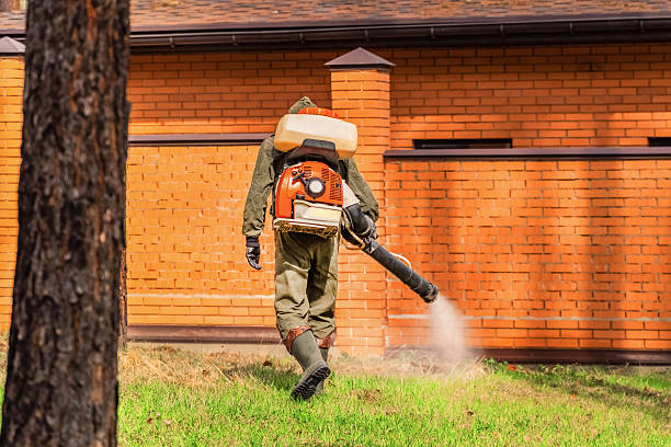 Trusted Emergency Pest Control service in Greencastle, PA - Nex Pest Control